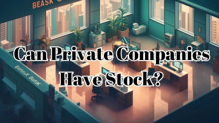 Can Private Companies Have Stock? How to Sell Stock Options of a Private Company?