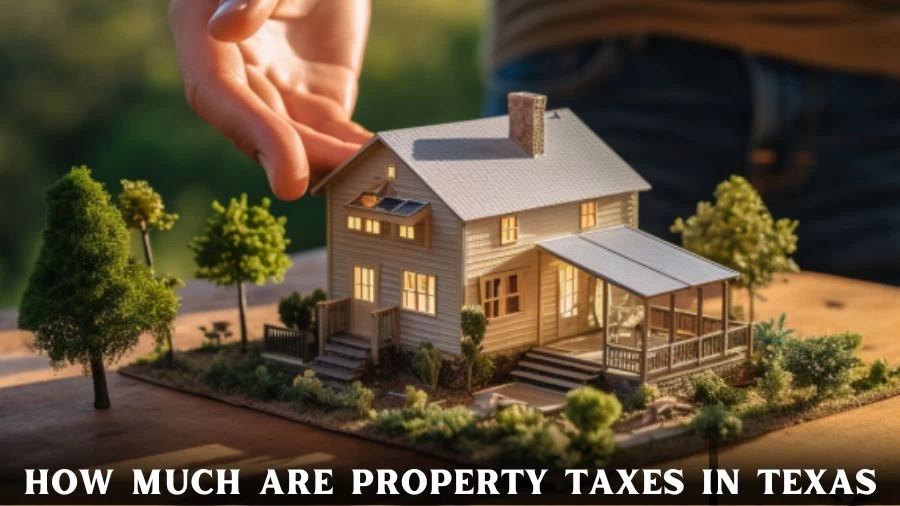 How Much Are Property Taxes in Texas?How to Reduce Property Taxes in Texas?When Will Texas Property Taxes Go Down?