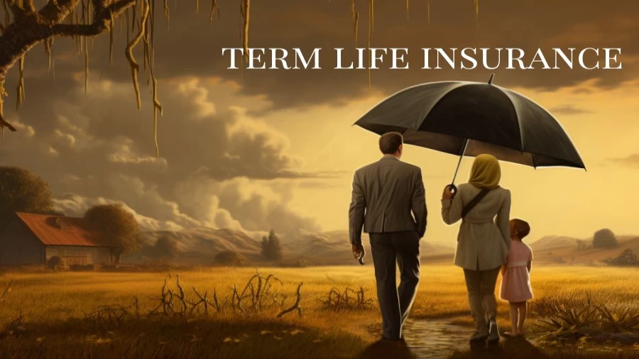 Term Life Insurance, How Does Term Life Insurance Work