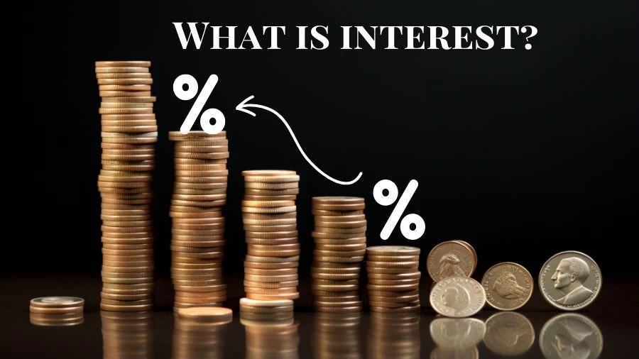 What is Interest? How Does Interest Work?