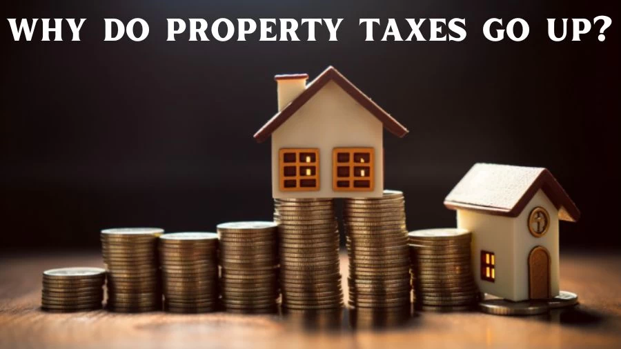 Why Do Property Taxes Go Up? Where Do Property Taxes Go? Are Property