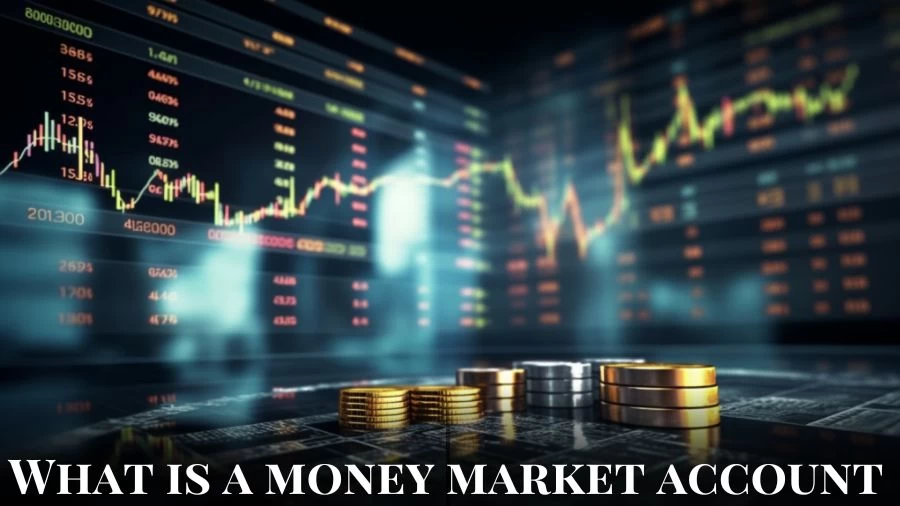 What is a Money Market Account And How Money Market Accounts Work?