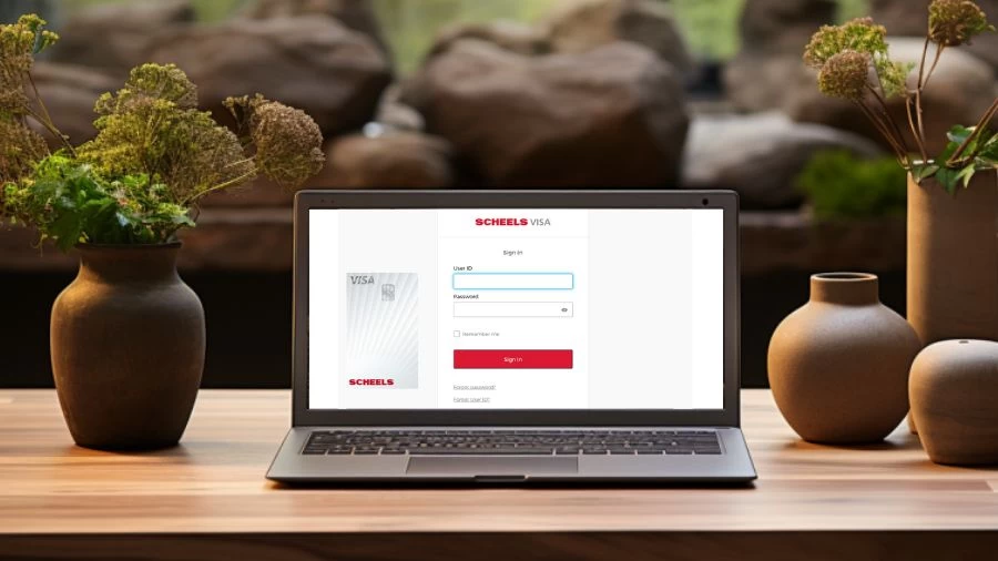 Scheels Credit Card Login, Application, and Customer Service