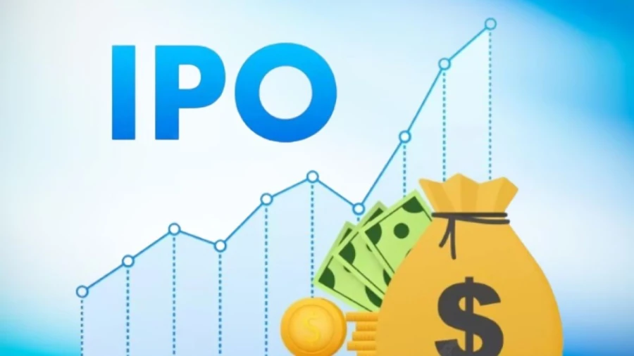 Naman In-Store (India) IPO Allotment Status: Check Your Online Status Now