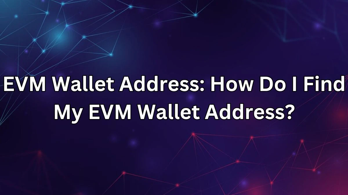 EVM Wallet Address: How Do I Find My EVM Wallet Address?