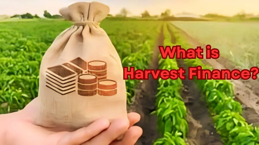 What is Harvest Finance? How does Harvest Finance Work?