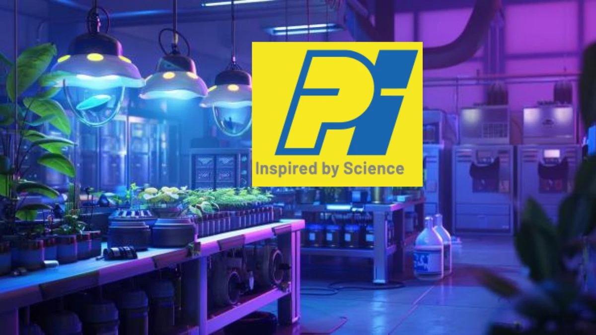 PI Industries Q4 Results 2024, Check Date and Time, Share Price, SMA, and More