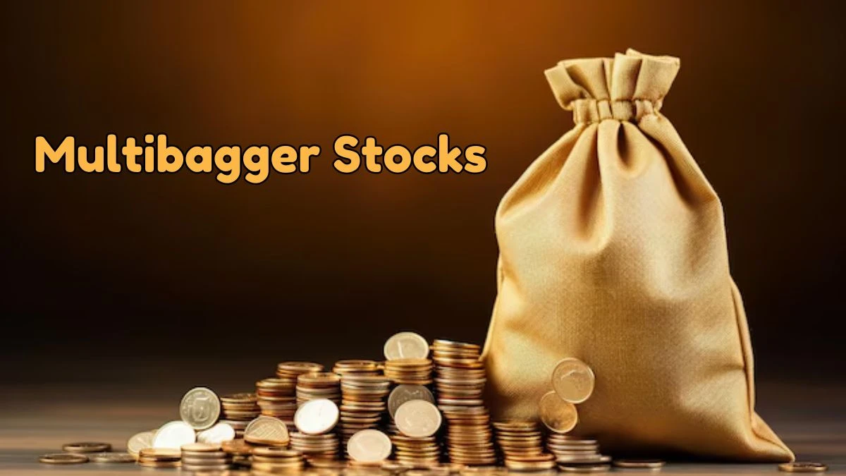 What is a Multibagger Stock? How to Find Multibagger Stocks?