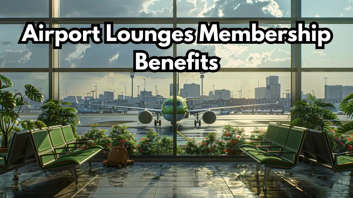 Airport Lounges Membership Benefits Know the Cost of Lounge Card