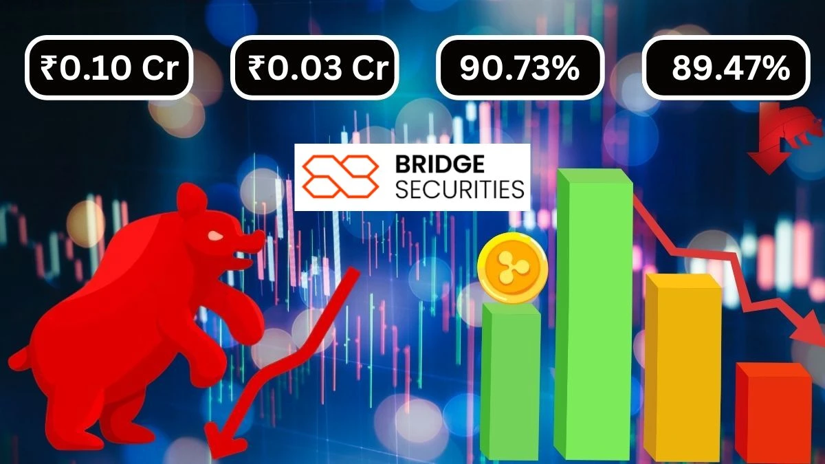 Bridge Securities Q1 Results Revenue ₹0.10 Crores & Operating Income ₹0.03 Crores