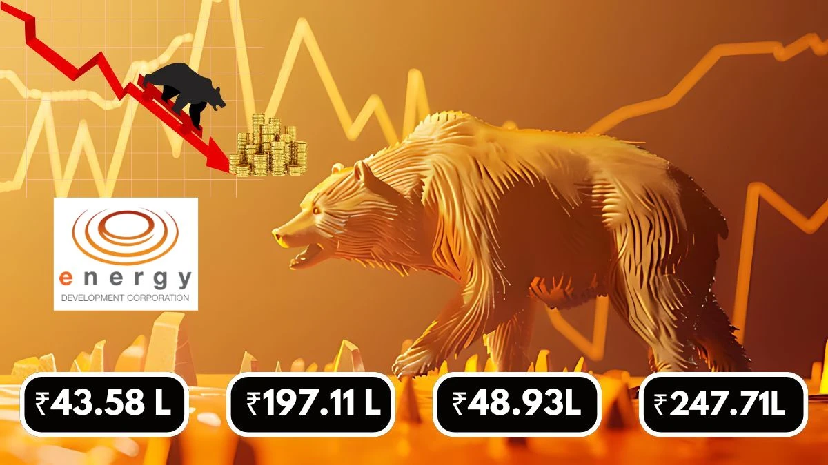 Energy Development Company Q1 Results Revenue ₹43.58 Lakhs & Net Loss ₹197.11 Lakhs