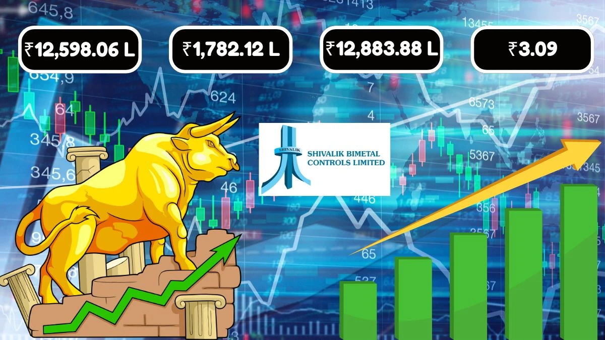 Shivalik Bimetal Controls Q1 Results, Revenue at ₹12,598.06 lakhs, Net Profit Up to ₹1,782.12 lakhs