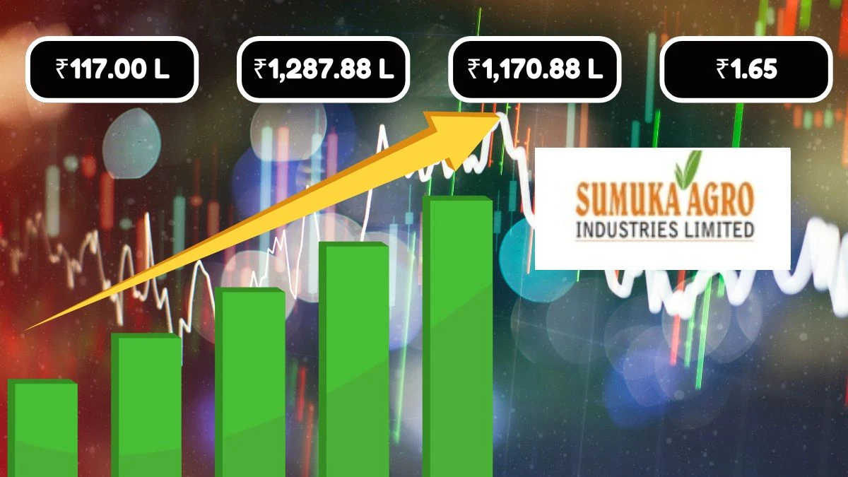 Sumuka Agro Industries Q1 Results Profit Increases to Rs. 117.00 Lakhs with Net Sales at Rs. 1,287.88 Lakhs