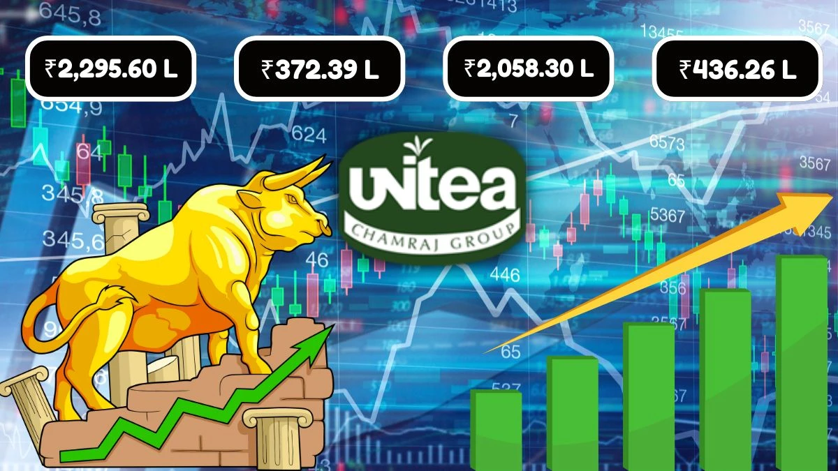 United Nilgiri Tea Estates Q1 Results, Revenue Rises to ₹2295.60 Lakhs with a Net Profit of ₹372.39 Lakhs