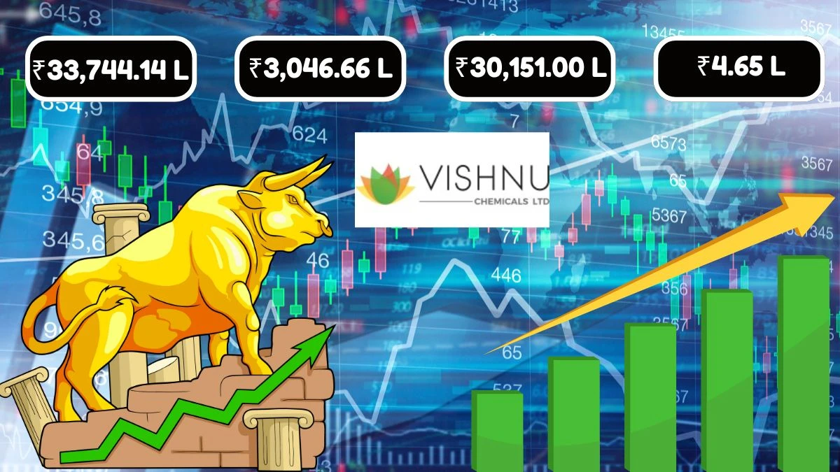 Vishnu Chemicals Q1 Results Income Up to ₹33,744.14 Lakhs, Net Profit at ₹3,046.66 Lakhs