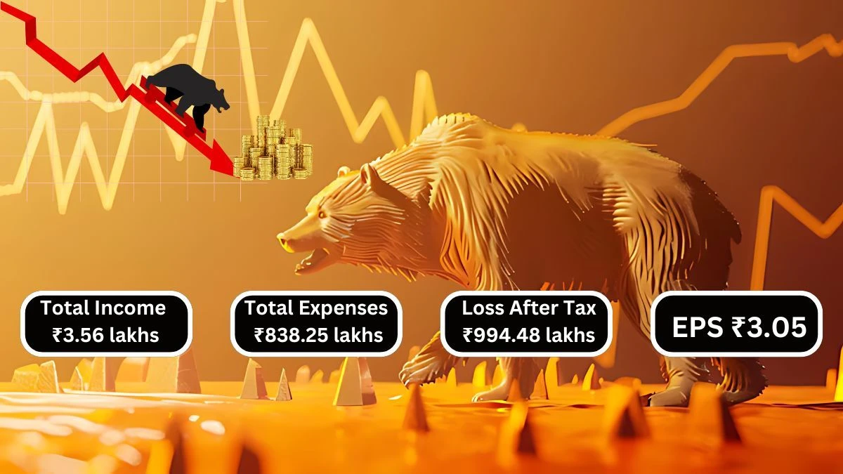 Bheema Cements Q1 Results Total Income of ₹3.56 lakhs & Total Expenses ₹838.25 lakhs