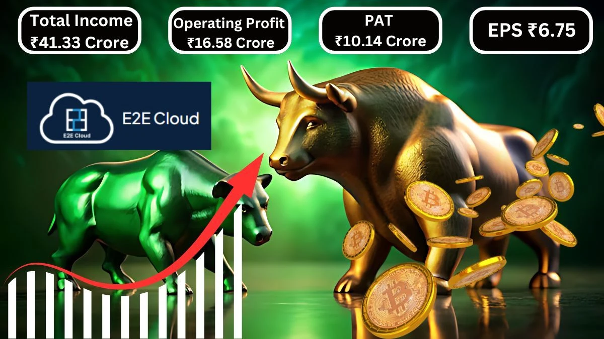 E2E Networks Q1 Results Total Income ₹41.33 Crore & Operating Profit ₹16.58 Crore