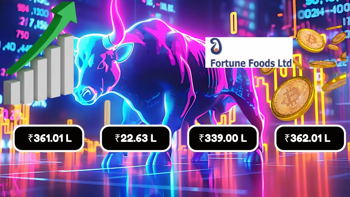 Fortune Foods Q1 Results Net Profit Soars to ₹22.63 Lakh with Revenue of ₹361.01 Lakh