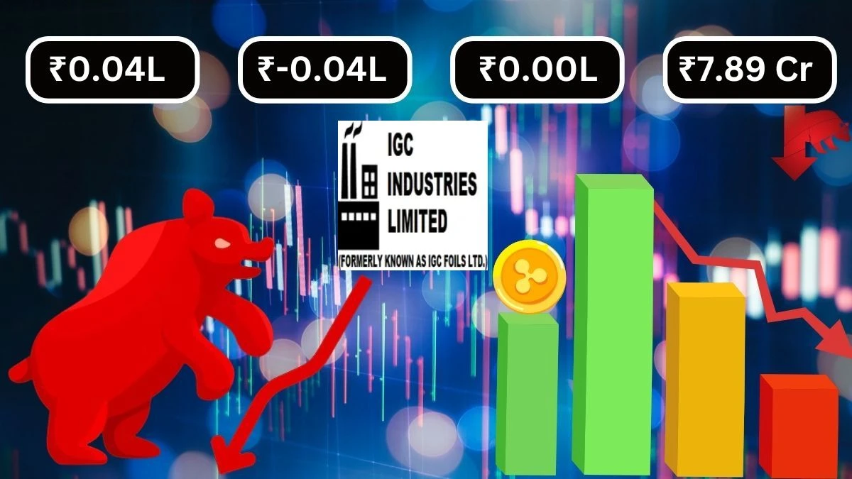 IGC Industries Q1 Results Zero Income, ₹0.04 Lakhs Expenses, and ₹0.04 Lakhs Loss