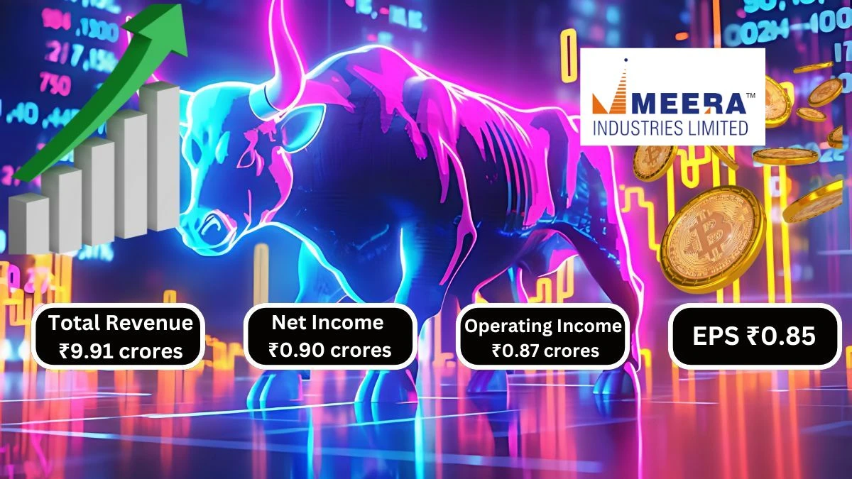 Meera Industries Q1 Results Total Revenue ₹9.91 crores & Net Income ₹0.90 crores