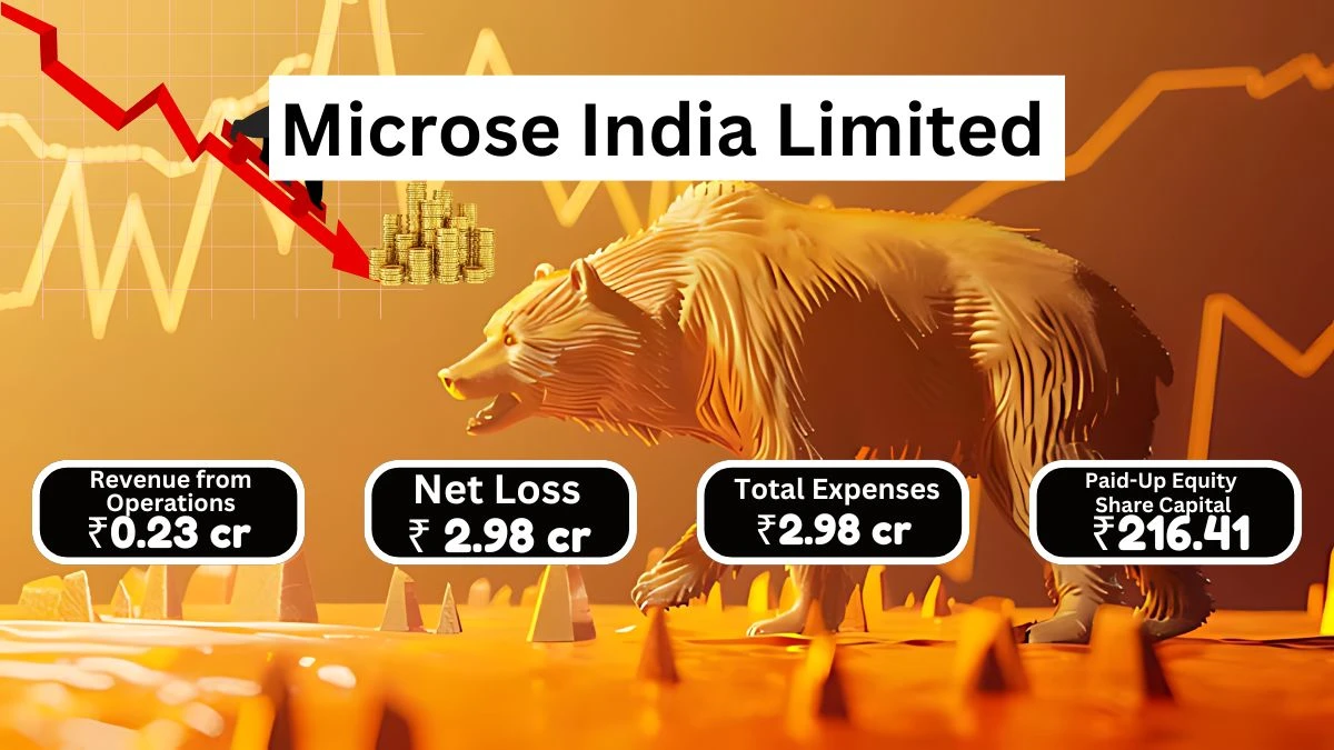 Microse India Q1 Results, Loss Before Tax at Rs. 2.98 Crore and Revenue Stays at Rs. 0.23 Crore