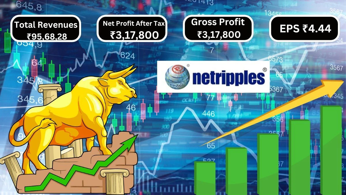 Netripples Software Q1 Results Total Revenues ₹95,68,285 & Net Profit After Tax ₹3,17,800