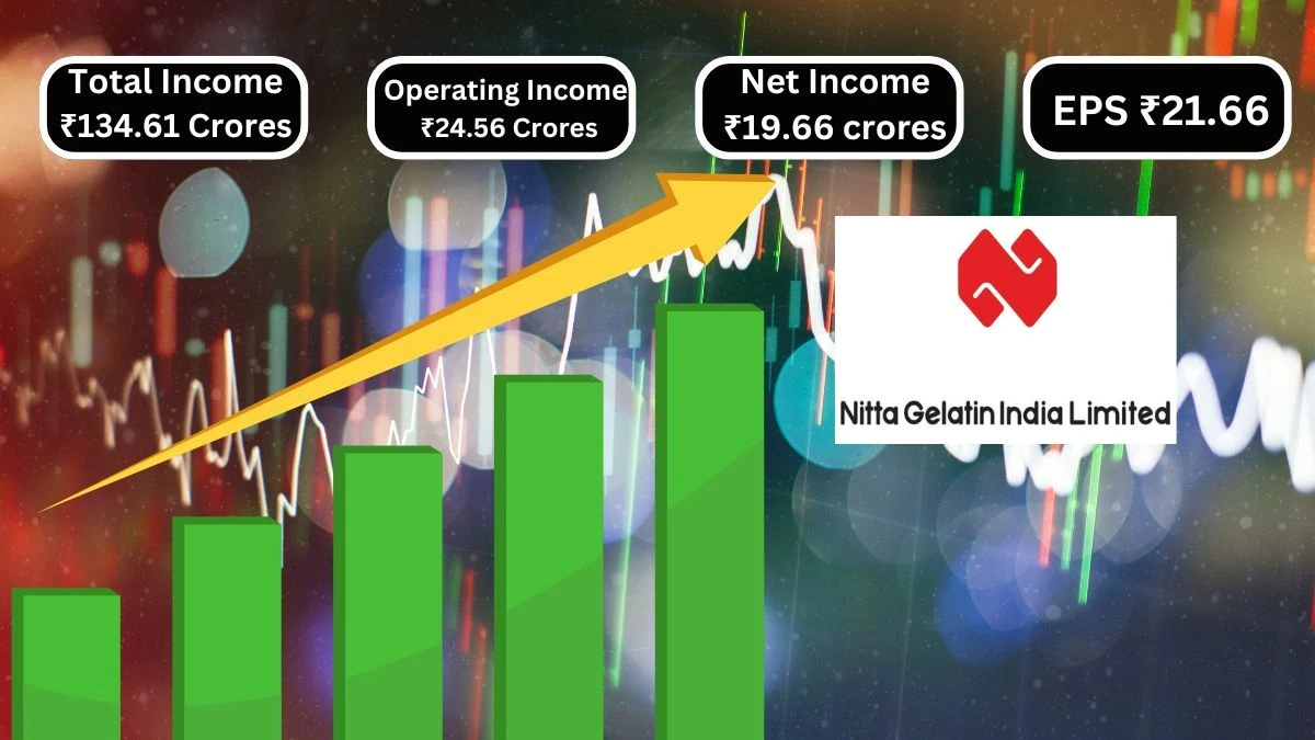 Nitta Gelatin India Q1 Results with  Total Income ₹134.61 Crores & Operating Income ₹24.56 Crores