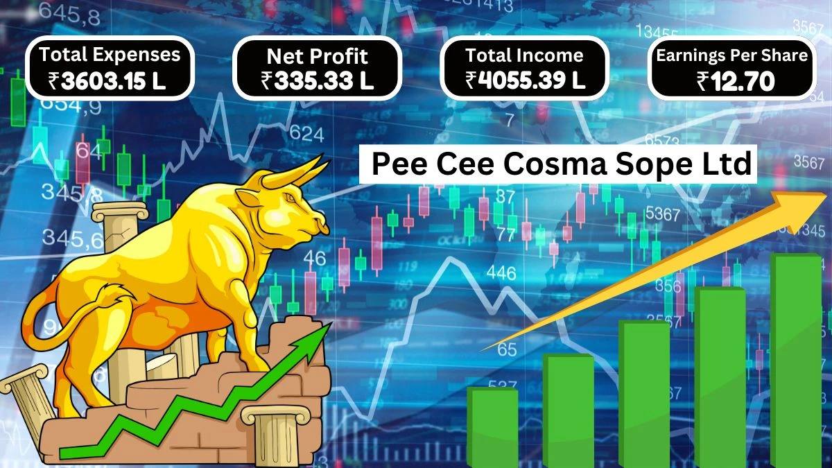 Pee Cee Cosma Sope Q1 Results Profit Before Tax Hits ₹452.24 Lakh and PAT Reaches ₹335.33 Lakh