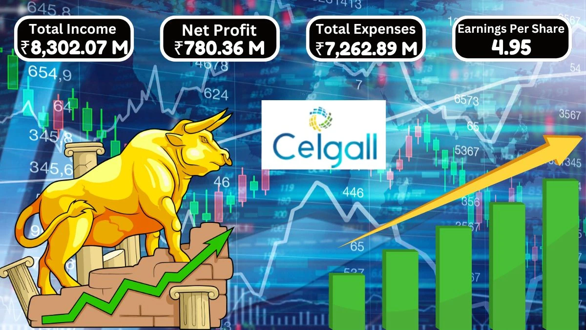 Ceigall India Q1 Results Reported Net Profit of INR 780.36 Million and Revenue of INR 8,223.94 Million