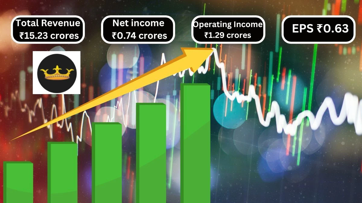 Somi Conveyor Beltings Q1 Results Total Revenue ₹15.23 crores & Net income ₹0.74 crores