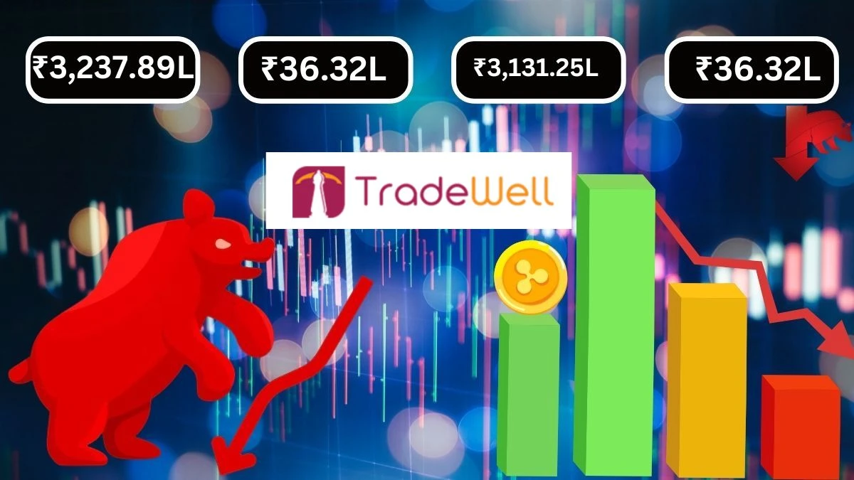 Tradewell Holdings Q1 Results Total Income ₹3,237.89 Lacs, Net Loss ₹36.32 Lacs