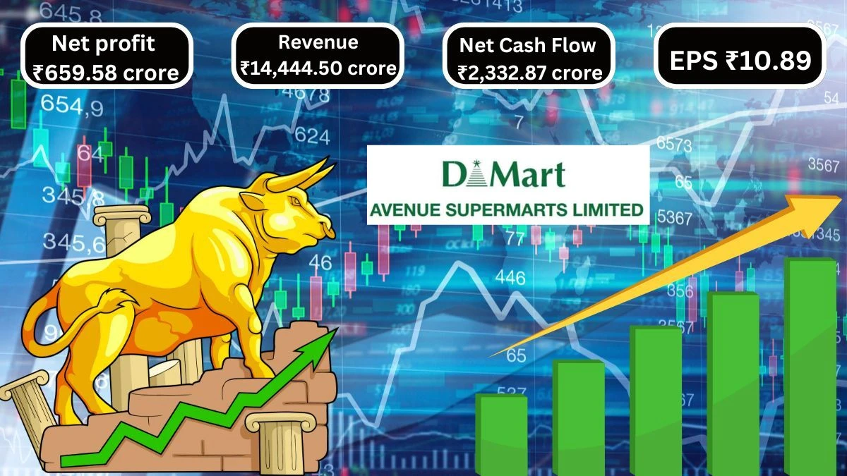 Avenue Supermarts Q2 Results Rises to ₹14,444.50 Crore with 14.41% Growth