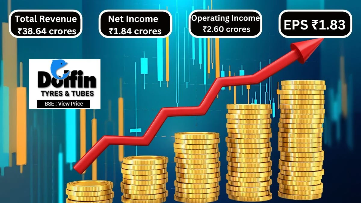 Dolfin Rubbers Q1 Results Reflect Growth and Strong Financial Health