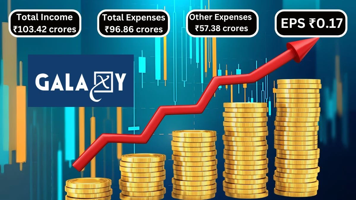 Galaxy Agrico Exports Q1 Results Achieves ₹103.42 crores of Income