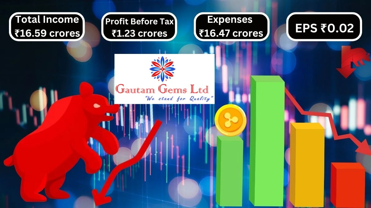 Gautam Gems Q2 Results Total Income Declines to ₹16.59 Crores