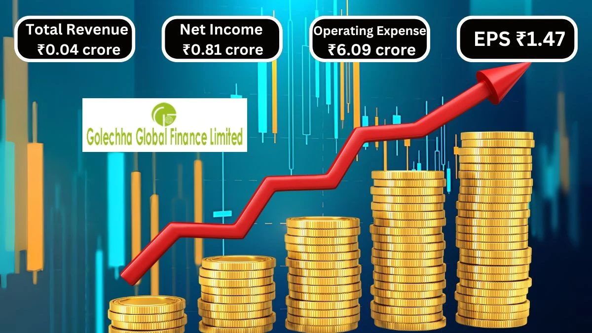 Golechha Global Finance Q1 Results Positive Net Income with Revenue Challenges