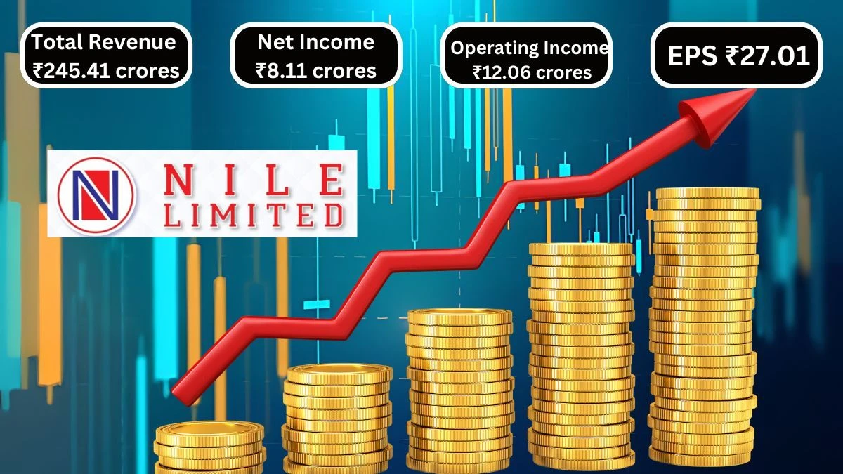 NILE Q1 Results Total Revenue Up to ₹245.41 Crores