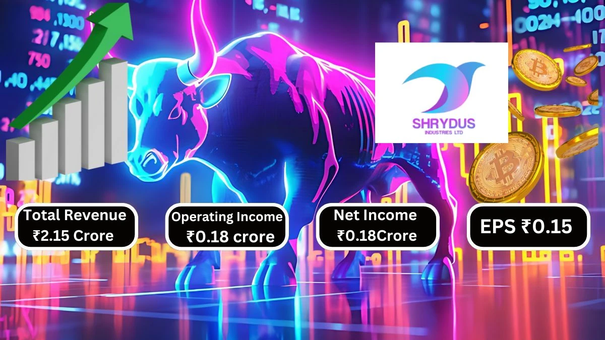 Shrydus Industries Q2 Results Total Revenue at ₹2.15 Crore with Improved Operating Income