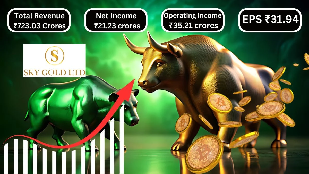 Sky Gold Q1 Results Total Revenue Up ₹723.03 Crores