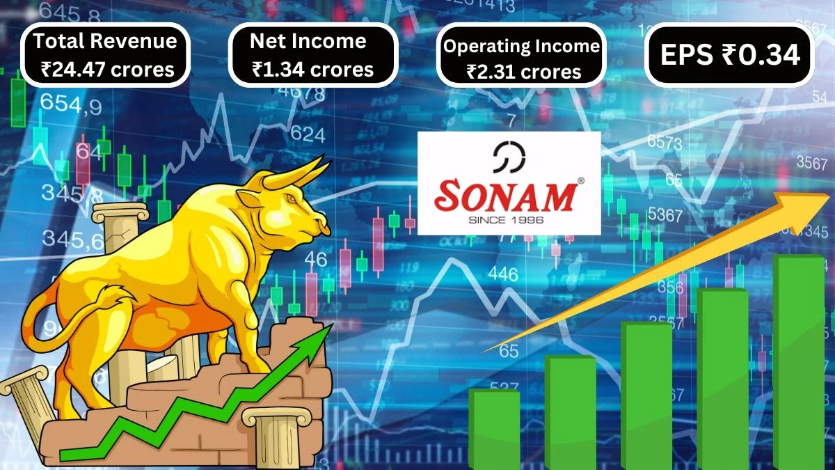 Sonam Q2 Results Revenue Grows & Net Income Hits ₹1.34 Crores