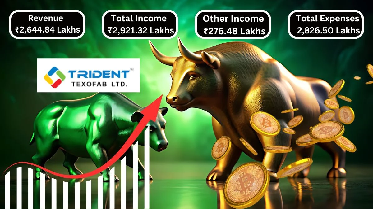 Trident Texofab Q2 Results Total Income Reaches ₹2,921.32 Lakhs