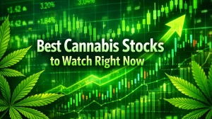 Best Cannabis Stocks to Watch Right Now: Only 6 Names Show Real Strength While Most Remain in Breakdown Mode